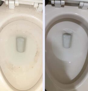 Bathroom cleaning st albans wv toilet 2